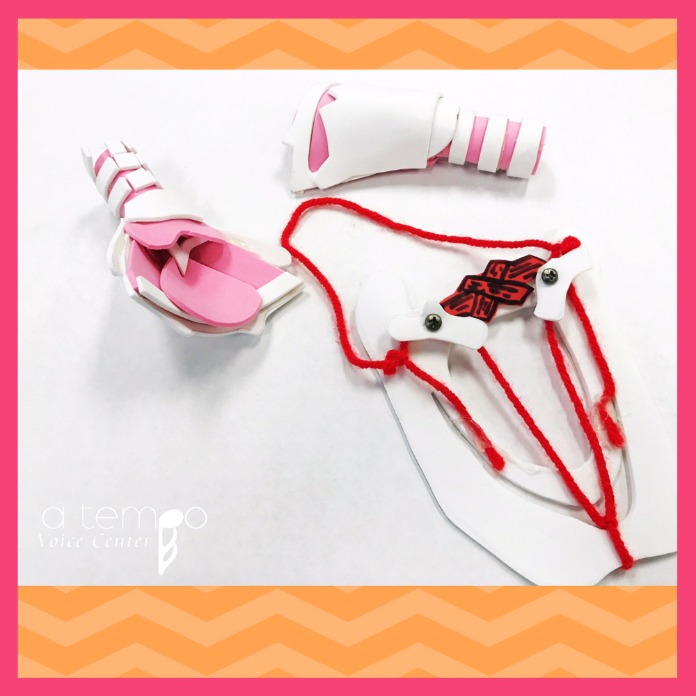 DIY Foam Larynx Model Patterns - Image 2
