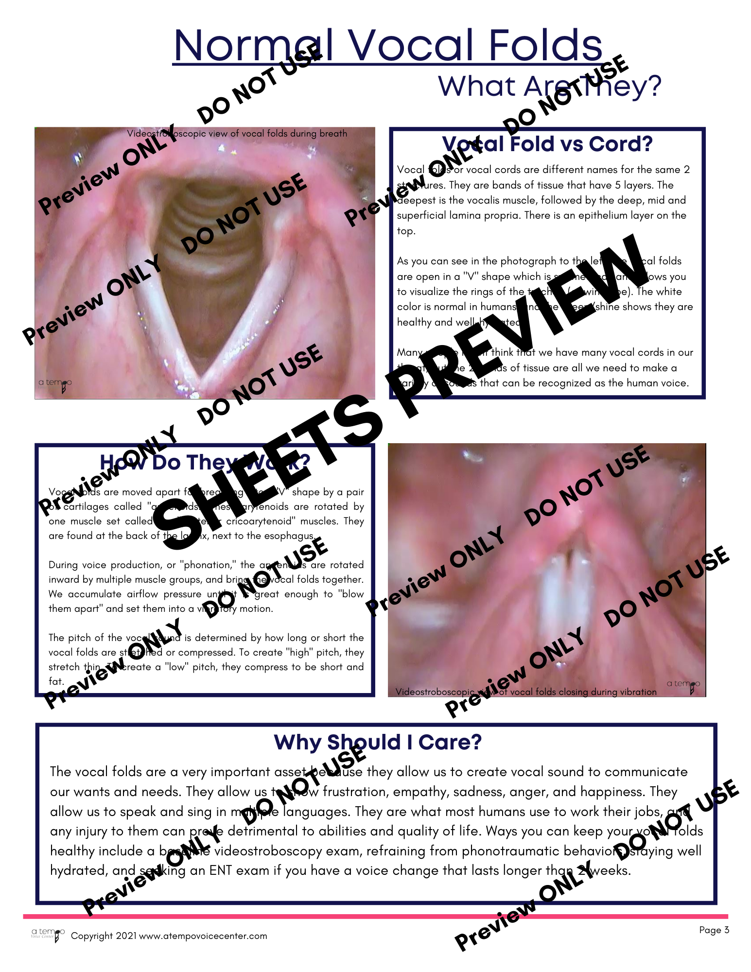 Voice Disorder Flipbook and Sheets - Image 6