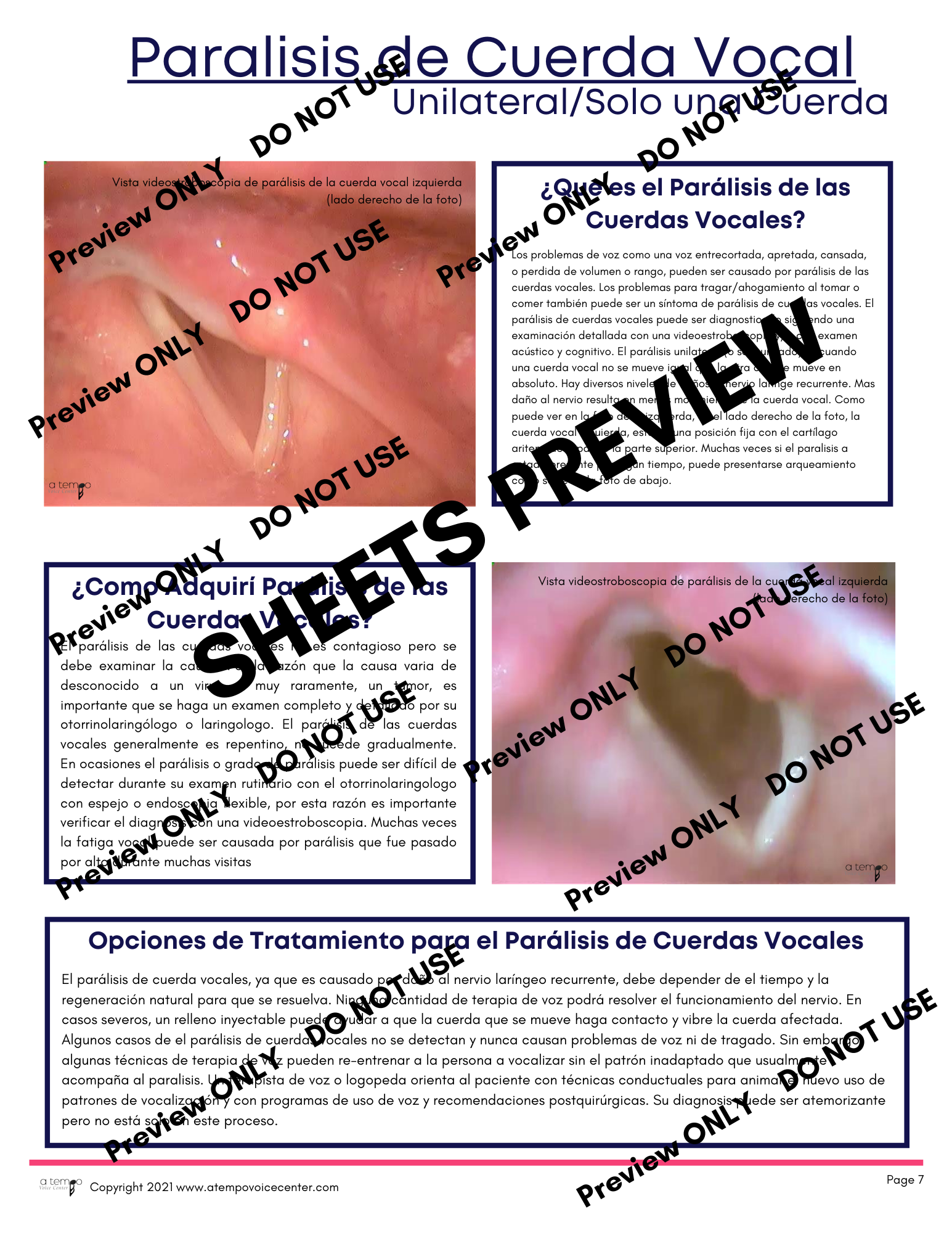 Voice Disorder Flipbook and Sheets - Image 7