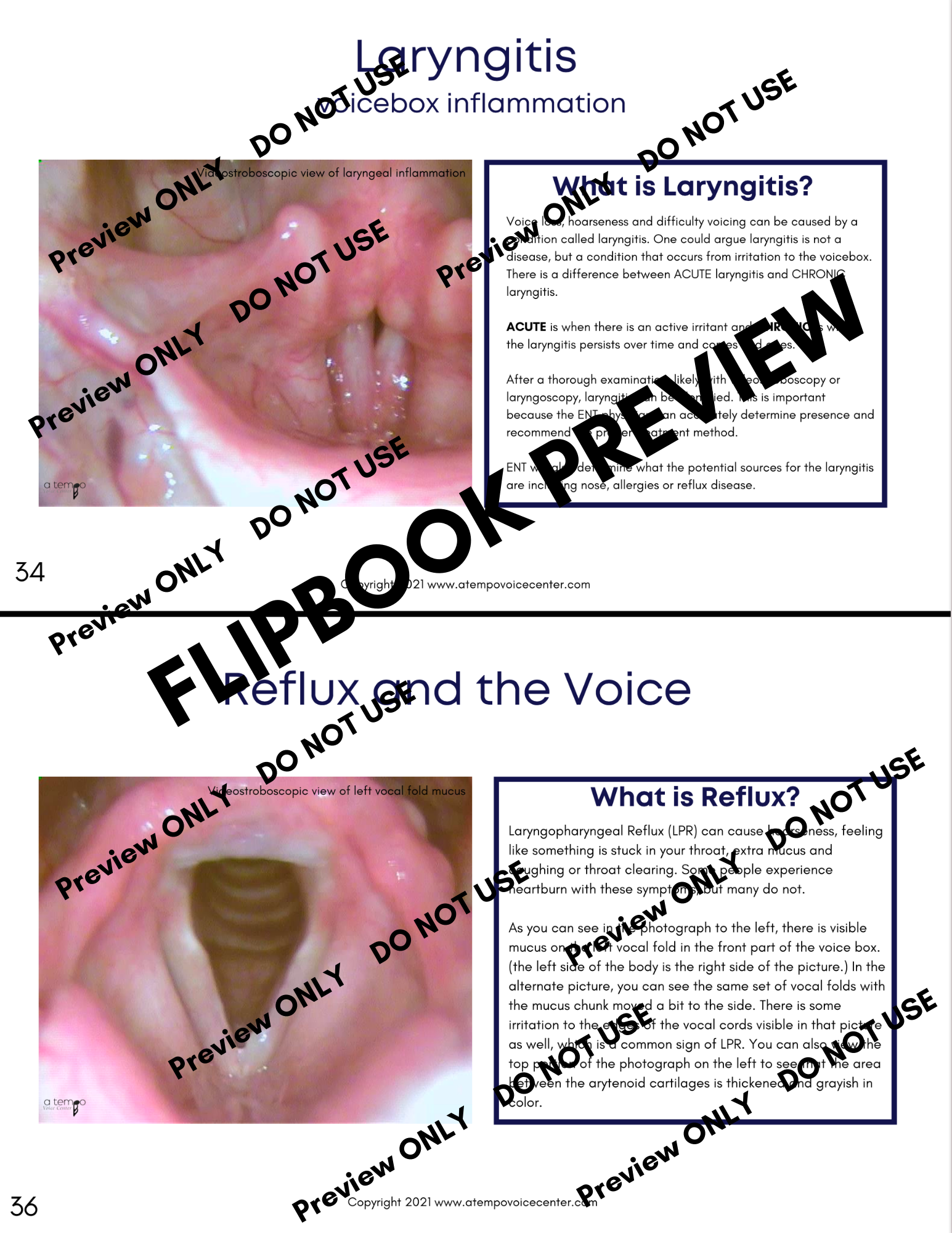 Voice Disorder Flipbook and Sheets - Image 9