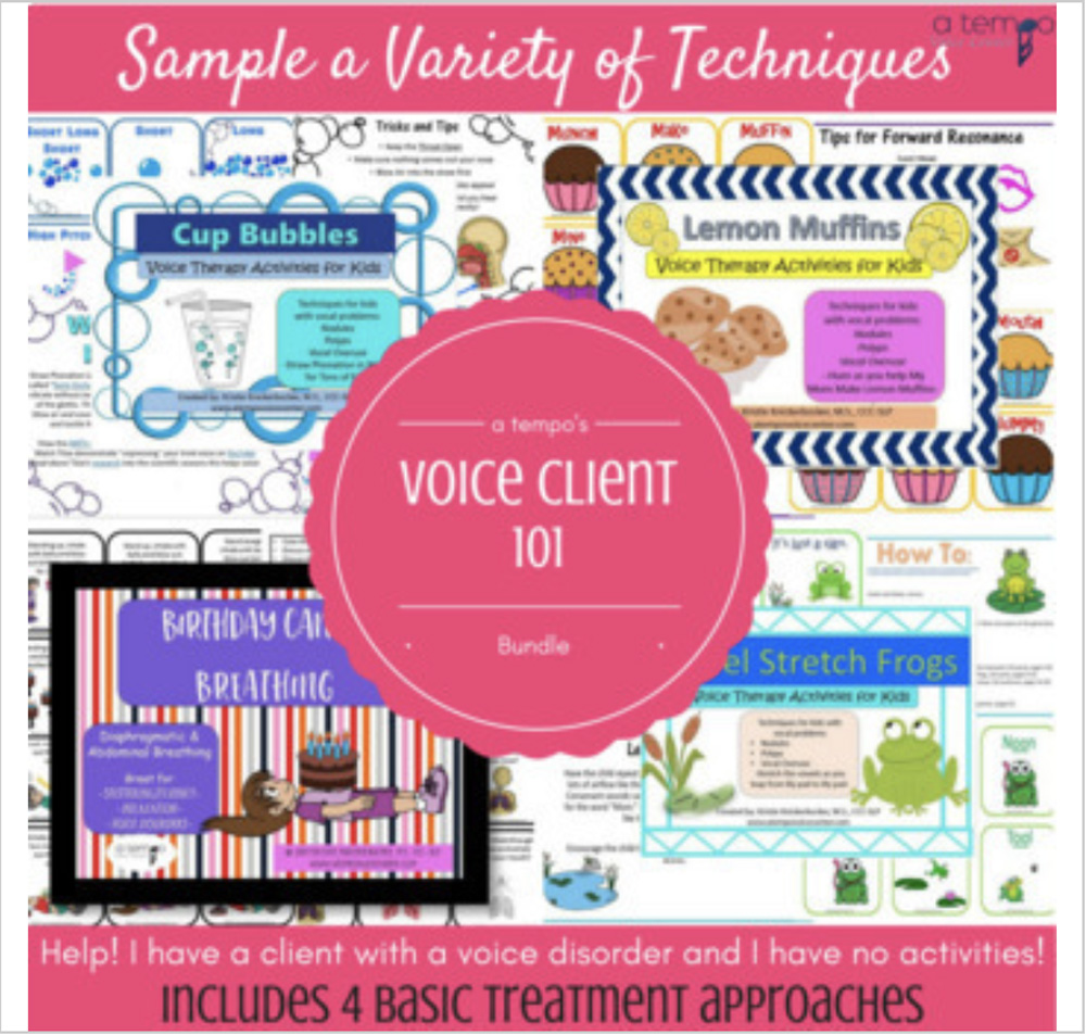 Voice Client 101 Bundle - Image 6